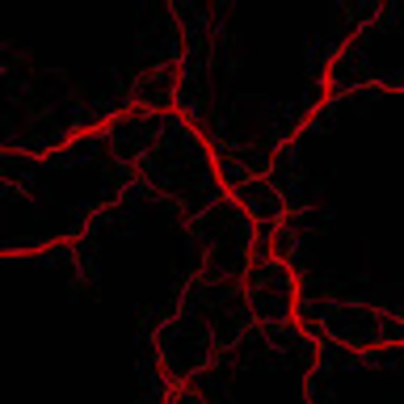 Meet your Posher, Joseph - Picture 1 of 1